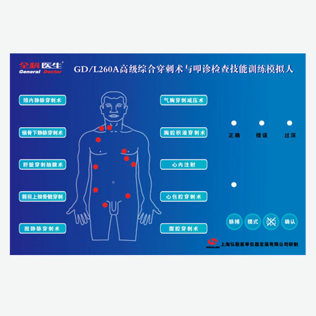 L260A高級綜合穿刺術(shù)與叩診檢查技能訓(xùn)練模擬人4.jpg