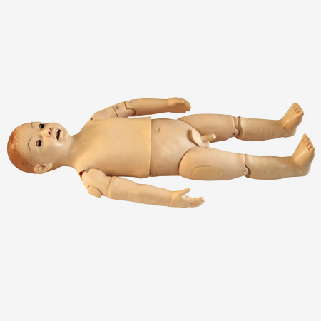 ACLS165B1.jpg